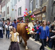 Retour des Alpages, défilé des animaux dans la vieille ville d'Annecy, Octobre